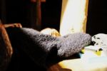 agaradziwolska_DSC0055p