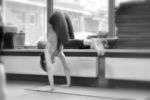 agaradziwolska_DSC0271p